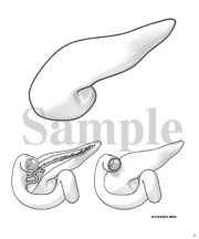 白黒JPG画像